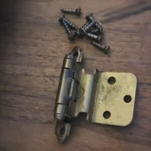 Vintage Amerock Door Hinges